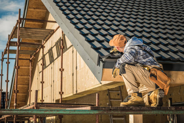 Best Roof Gutter Cleaning  in Martin, SD