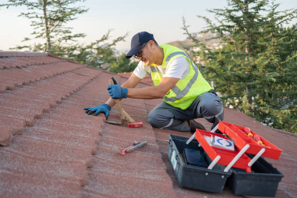 Best Shingle Roofing Installation  in Martin, SD